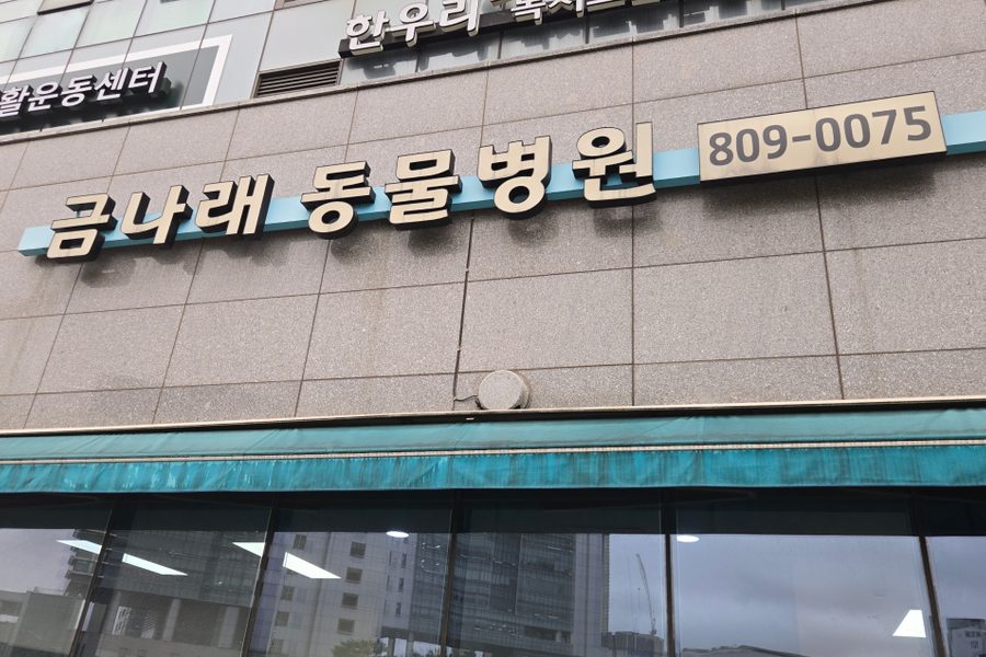 금천구 동물병원 내부철거 시공사례