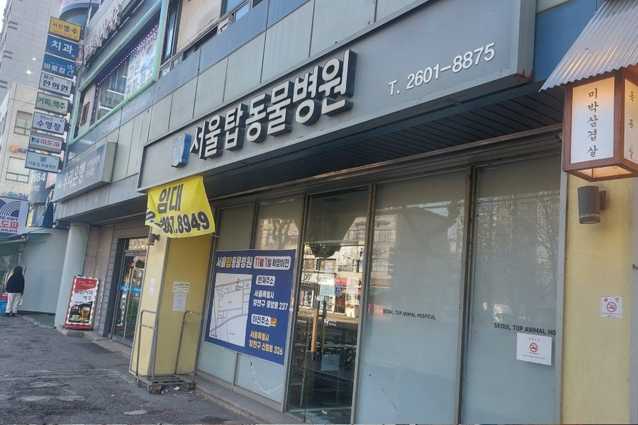 양천구 동물병원 원상복구 철거 시공사례